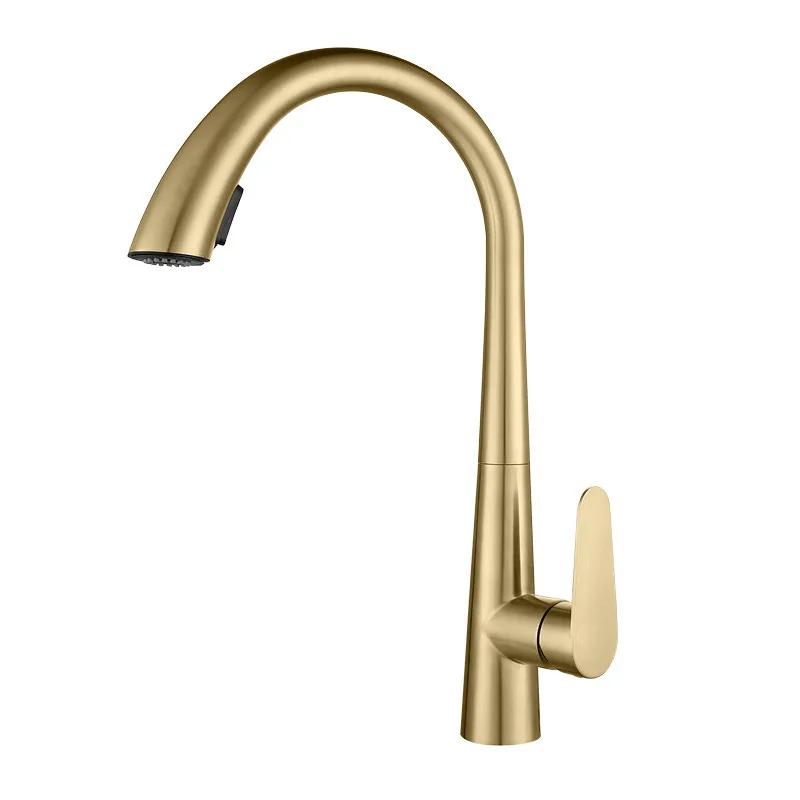 Kitchen Hot and Cold Faucet Pull-Out Stainless Steel Dual Outlet Sink Faucet Mixer Tap 360-Degree Rotatable Kitchen Faucet