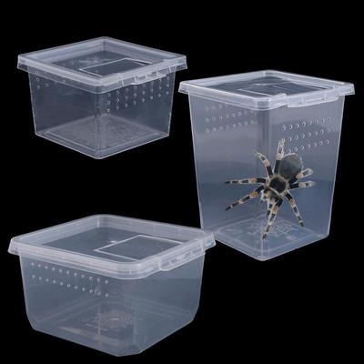 Practical Transparent Household Reptile Accessories Plastic Hatching Tank Insect Feeding Box Lizard Living Box Reptile Habitat