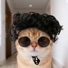 1 Set Cat Wig And Glasses Funny Pet Costume Adjustable Pet Wig Big Hair Photo Prop Outfit for Cats And Small Dogs Holiday Party Cosplay