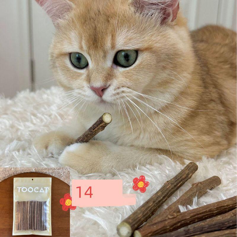 

Teeth Cleaning Cute Bite-Resistant Self-Hi Handy Gadget Mu Tianmiao Polygonum 1 Pack (containing 14)