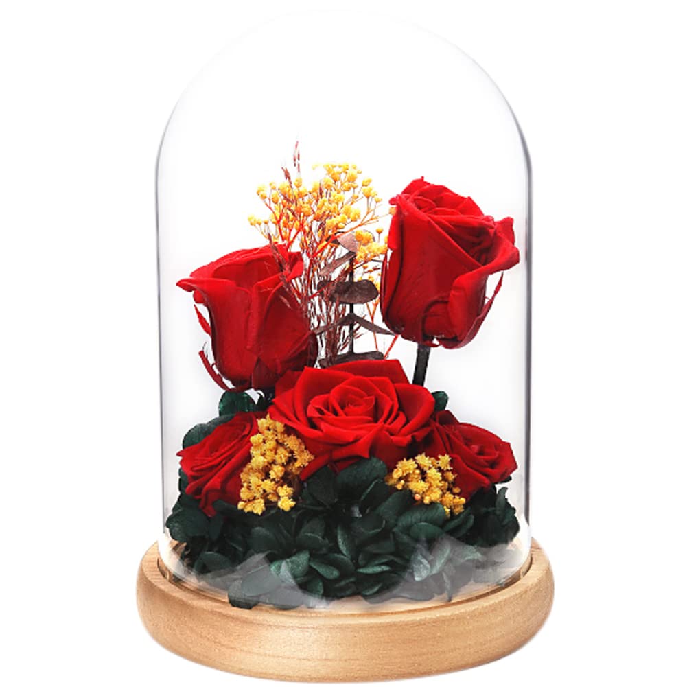 

TEATSIGHT Preserved Flower Arrangement, Pre-Wrapped, Glass Pot, 5 Flowers (Red Roses)