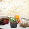 Starter Pots For Planting 50PCS Reusable Black Square Seedling Pots Nursery Pot With Drainage Holes Gardening Kit For Plants