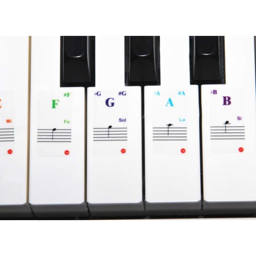 A-Flat Piano Scale Stickers, Full-Size Keyboard Scale Stickers for 32/37/49/54/61/88 Keys. These Stickers Stick Only To the White Keys, Creating a Cle
