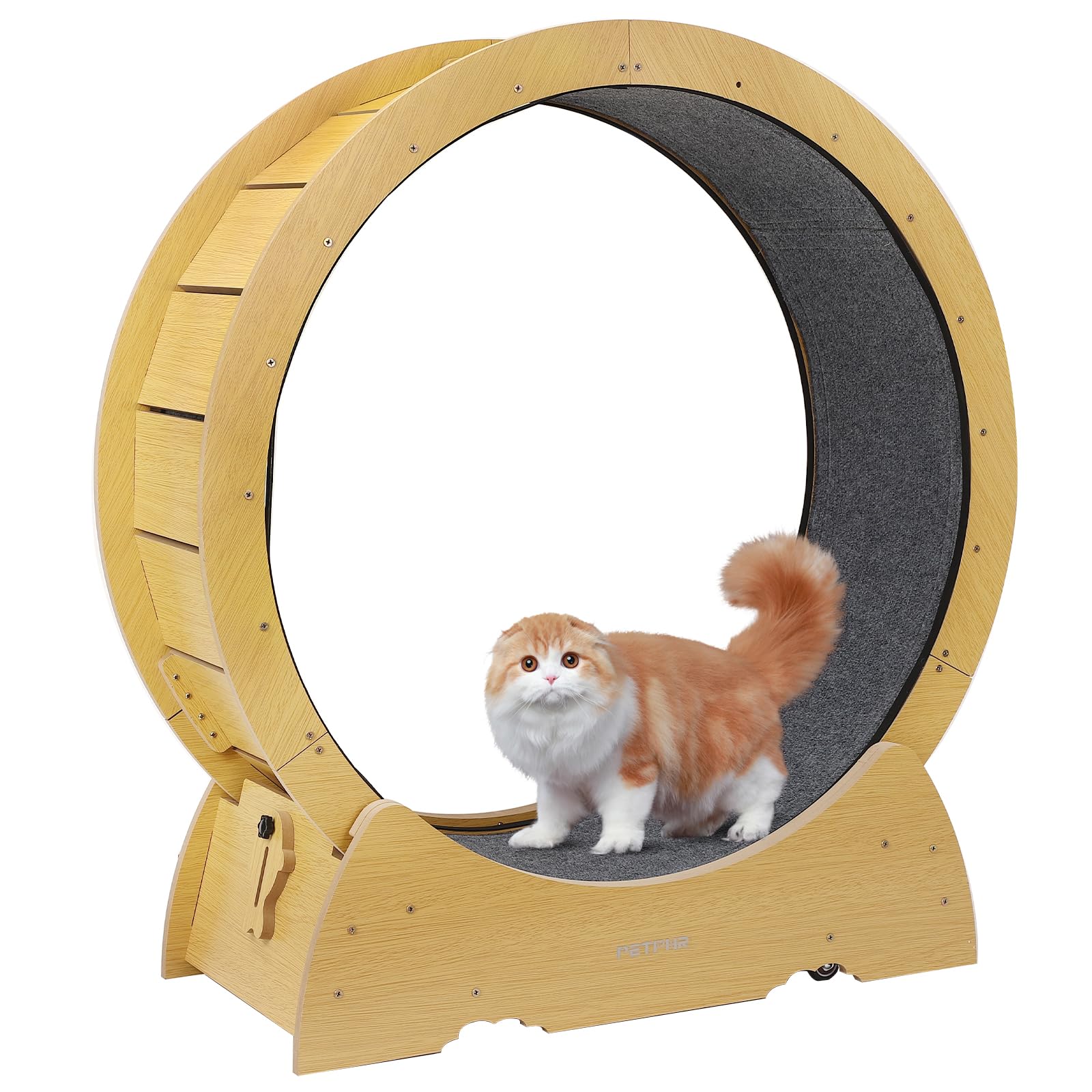 

PETPNR Cat Cat Для устранения недостатка движения у домашних кошек Cat Room Cat Exercise Large Cat Cat Health Care Cat Low Easy to Assemble Wheel, Wheel, cats,