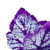 Betta Fish Leaf Pad Aquarium Decor Stress Relief Privacy Enhancing Realistic Resting Bed Hammock Simulating Habitat Easy to Clean High Simulation