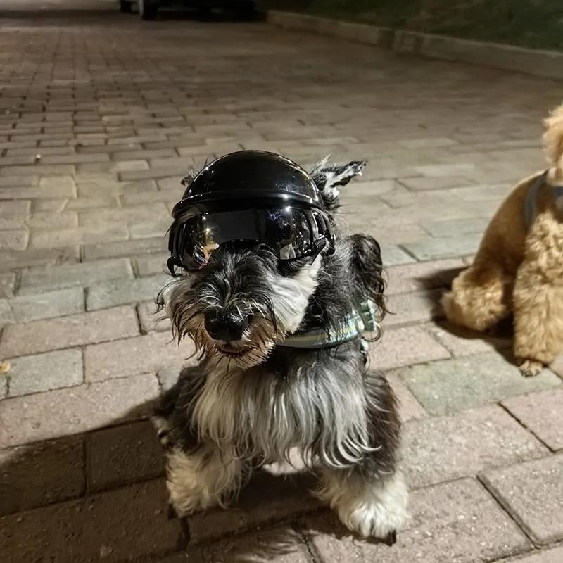 Hundebrille mit Helm für kleine Hunde Punk-Stil Hundehelm Sonnenbrillen-Set Kleine Hunde Outdoor Fahren Spazierengehen Hundezubehör