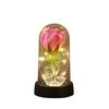 Enchanted Beauty And The Beast Rose Flower with Black Base LED Light In Glass Dome Valentine Christmas Gift Wedding Home Decor