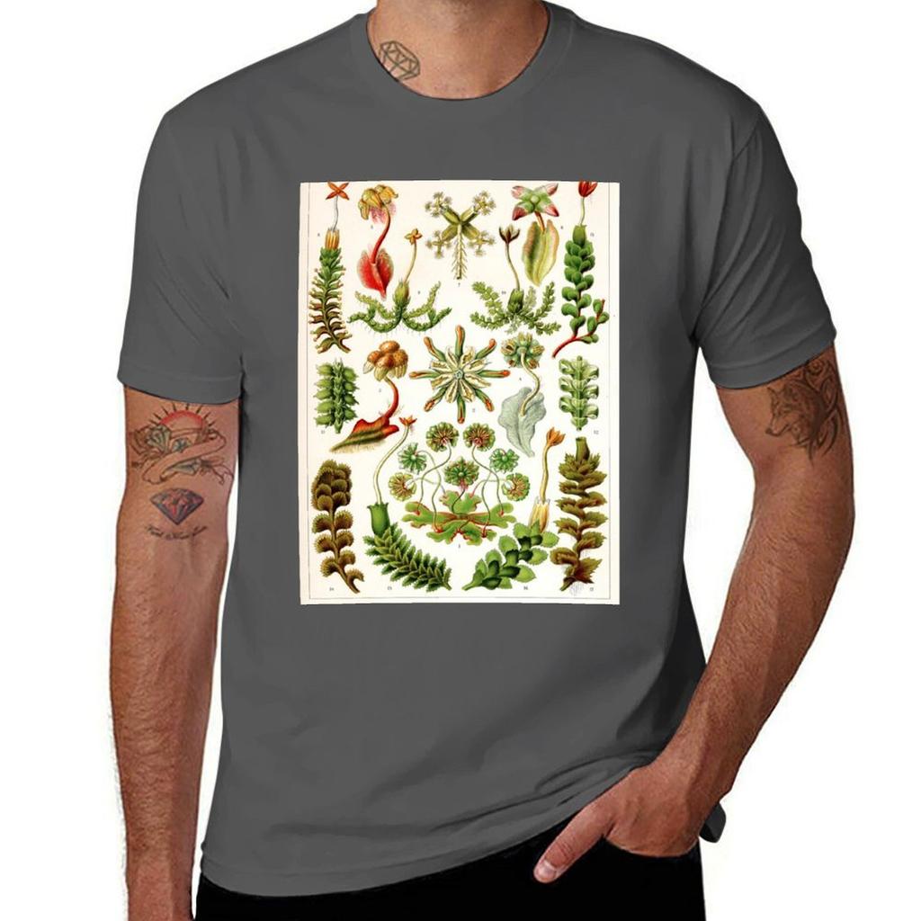 Ernst Haeckel Hepaticae (liverworts) Vintage Botanical Illustration TShirt PerforUnisexce Dry Fit TShirt