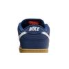 Nike Dunk Low SB 'Navy Gum' FJ1674-400 Men's Shoes
