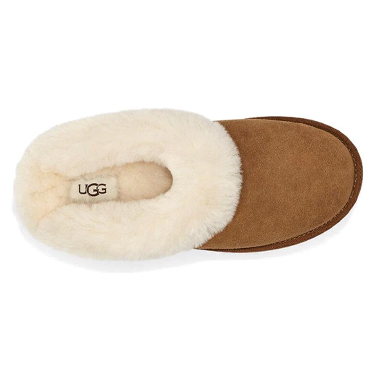 UGG Rubber Sole Odor Resistant Antibacterial Closed Toe Slippers Women's Chestnut 1115134-CHE
