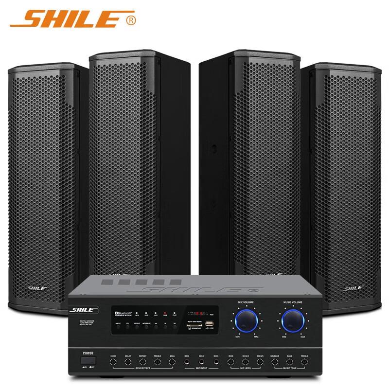 

SHILE AV108+BX402 Professional Conference Speaker System CN plug (adapter included)