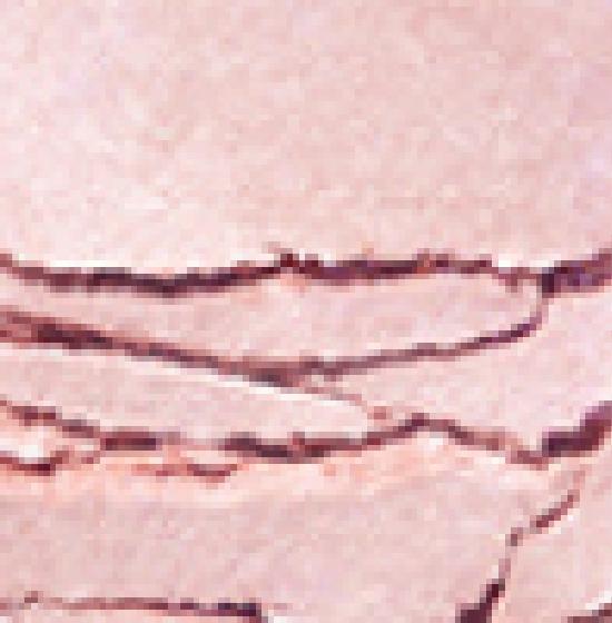 MISSHA Modern Shadow & Modern Pot & Triple & Glitter & Common Container