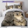 Cartoon-Muster Bettwäsche Steppbett-Set Bettbezug Kissenbezug Heimdekoration Geburtstagsgeschenk (1 Bettbezug + 2 Kissenbezüge, ohne Füllung)