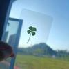 1/5/10Pcs Lucky Clover Postcards Natural Grass Transparent Wishing Cards For Bookmarks