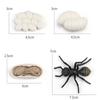 Cycle Figurine Animal Life Cycle Children Toys Simulation Plant Model Animal Growth Cycle Model