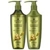 Schwarzkopf Ginger Oil Control Shampoo & Conditioner Set