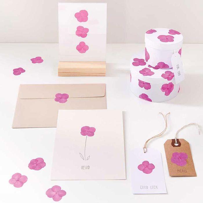 Fleurs pressées - RICO DESIGN - Hortensias - 9 pcs - Rose - 2,5 à 3 cm