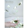 300PCS Silk Rose Petals,Beautiful Realistic Scatter Rose Petals Romantic Night Decoration,Wedding Party Decoration Artificial Flowers Petals(Olive