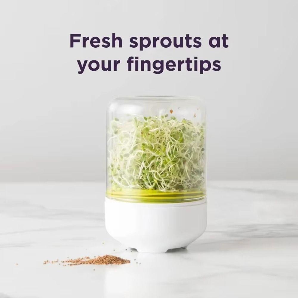 

Bean Plants Sprouts Growing Kit Household Kitchen Container Supplies New Countertop Sprouter