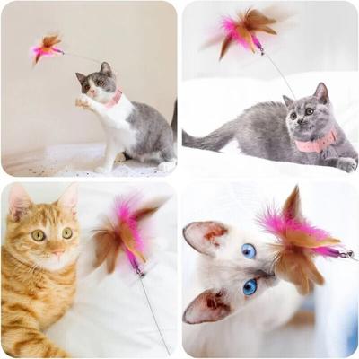 Katzen – Katzenspielzeug