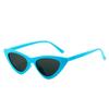 Retro Cat Eye Solbriller UV400 Shades Vintage Små Trekant Solbriller Hip Hop Briller Kvinner Kvinnelige Trendy Briller