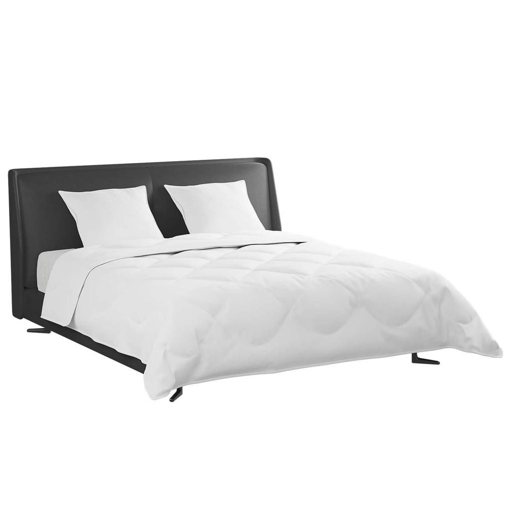 Duvet Set with Pillows 3 pcs White Down Feather