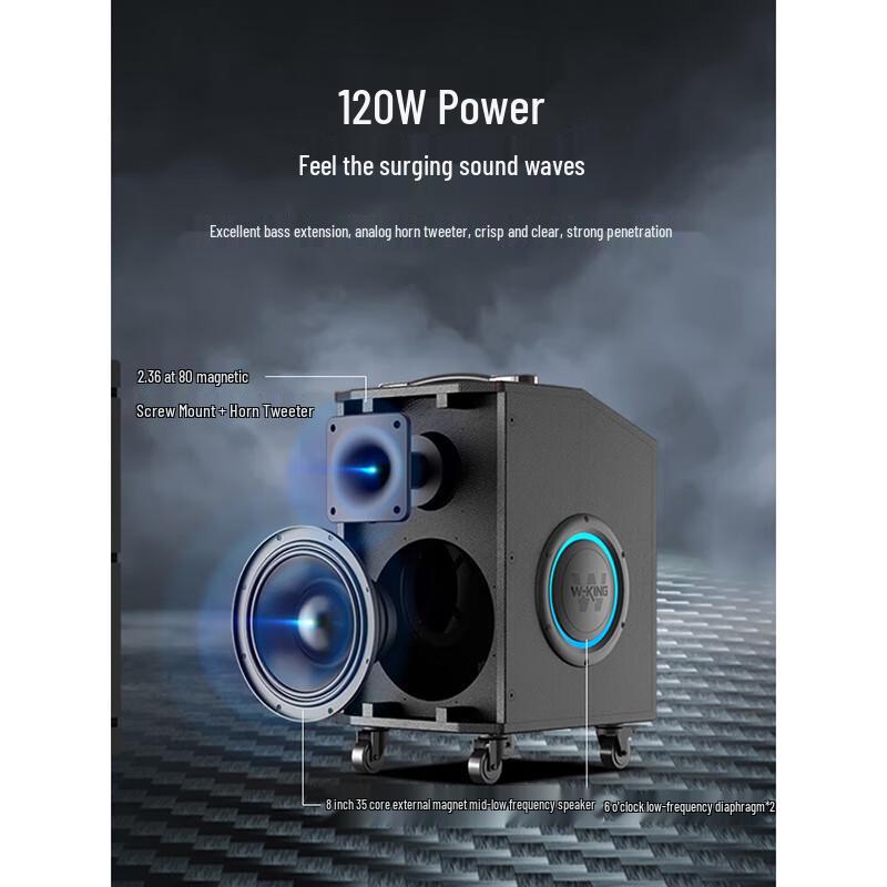 W-King K21SE 120W Portable KTV Bluetooth Speaker with Wheels