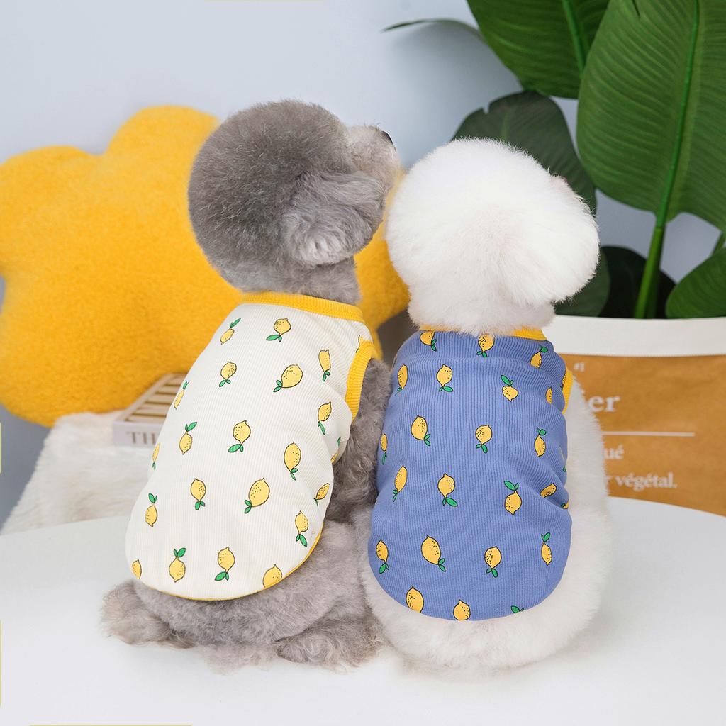 Dog Clothes Spring and Autumn Cartoon Cat Small Dog Clothing Lemon Vest