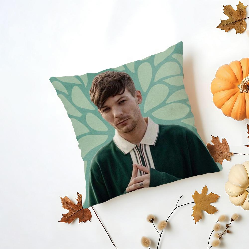 Louis Singer Tomlinsons Cushion Cover Iceland Washable Linen Soft for Daily Sofa Bed Home Room Decor