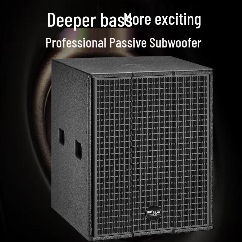 KaYouLa Professional Passive Full-Range Speaker