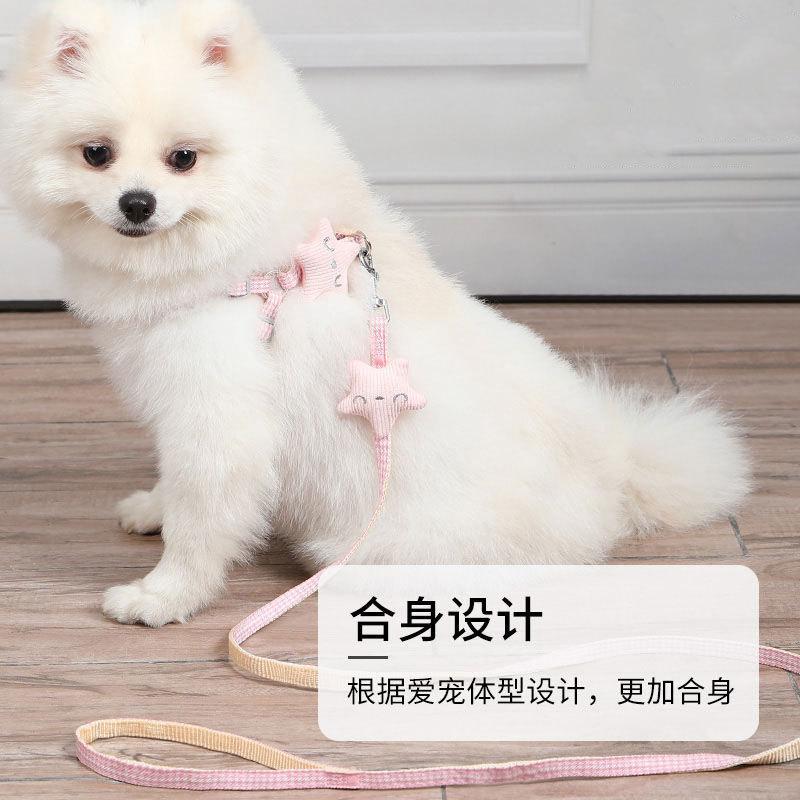 Adjustable pet leash, cute winged cat walking leash, special chest harness for kittens going out, dog leash, cat leash