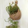 Simulated Rattan Fruit Vegetable Basket Woven Hanging Basket New Storage Basket  Home Decoration