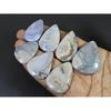 308Cts.Natural Crazy Lace Agate Pear Shape Cabachon Loose Gemstone 07Pcs Lot C-2537