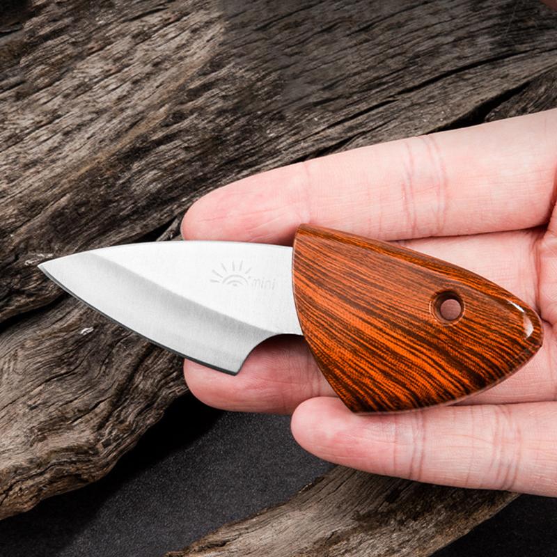 1PC Mini Pocket Small Fat Pork Fruit Knife Outdoor Dismantling Express Portable Small Fat Dolphin Knife