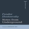 Notes from Underground by Fyodor Dostoevsky Paperback Book 9780393870862