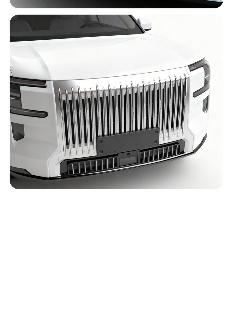 Clip-on Insect Net Protective Cover for Zeekr 9X Grille