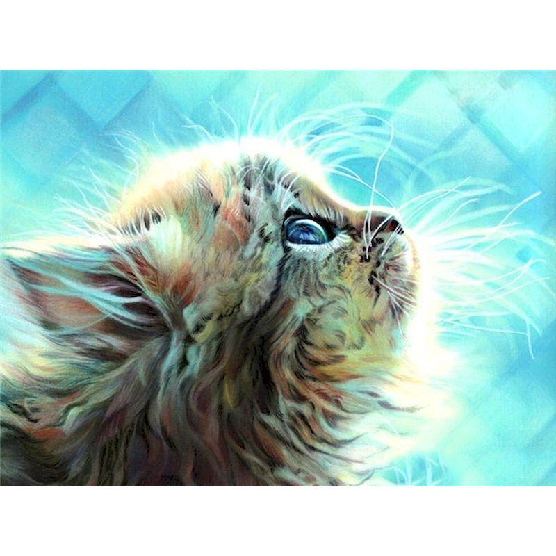 Diamond Painting Full Round Drill Diamond Embroidery Cat Animal Cross Stitch Mosaic Diy Crafts Home Decor Gift Kit
