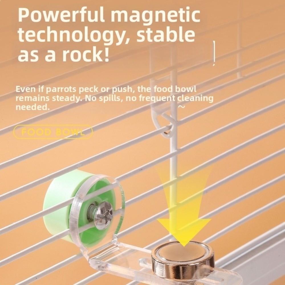 Plastic Parrot Feeder Transparent Water Feeding Basin New Pet Food Container  for Small Pets