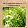 Dragon Boat Festival Bulk Dried Mugwort 500g Foot Soak Bath Bags