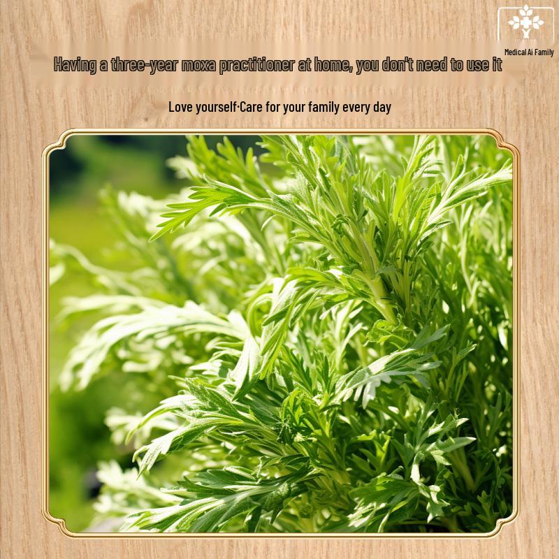 Dragon Boat Festival Bulk Dried Mugwort 500g Foot Soak Bath Bags