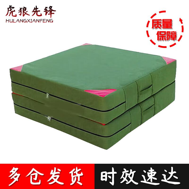 Tiger Wolf Pioneer Foldable Gymnastics Mat