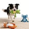 Squeaky Plush Cotton Rope Dog Toy For Interactively Play Teeth Cleaning And Anxieties Relief In Small Media Dog