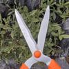 Yamasawa 1.5m Telescopic Hedge and Pruning Shears for Garden and Fruit Trees