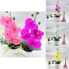 Phalaenopsis Plastic Potted Plant With Realistic Blooming Flowers For Living Room Decor