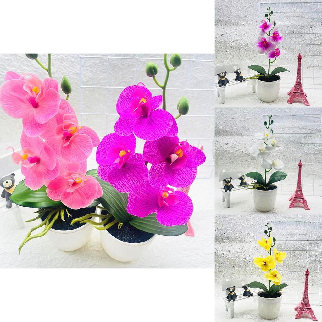 Phalaenopsis Artificial Potted Flower With Durable Material For Home Office And Gift Use