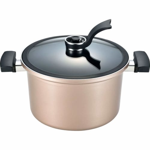 Wahei Freiz Bistoni 24cm Vacuum Cooker with Baked Finish, Ceramic Finish, Induction Compatible, Champagne Beige, MA-9595, Includes Recipes