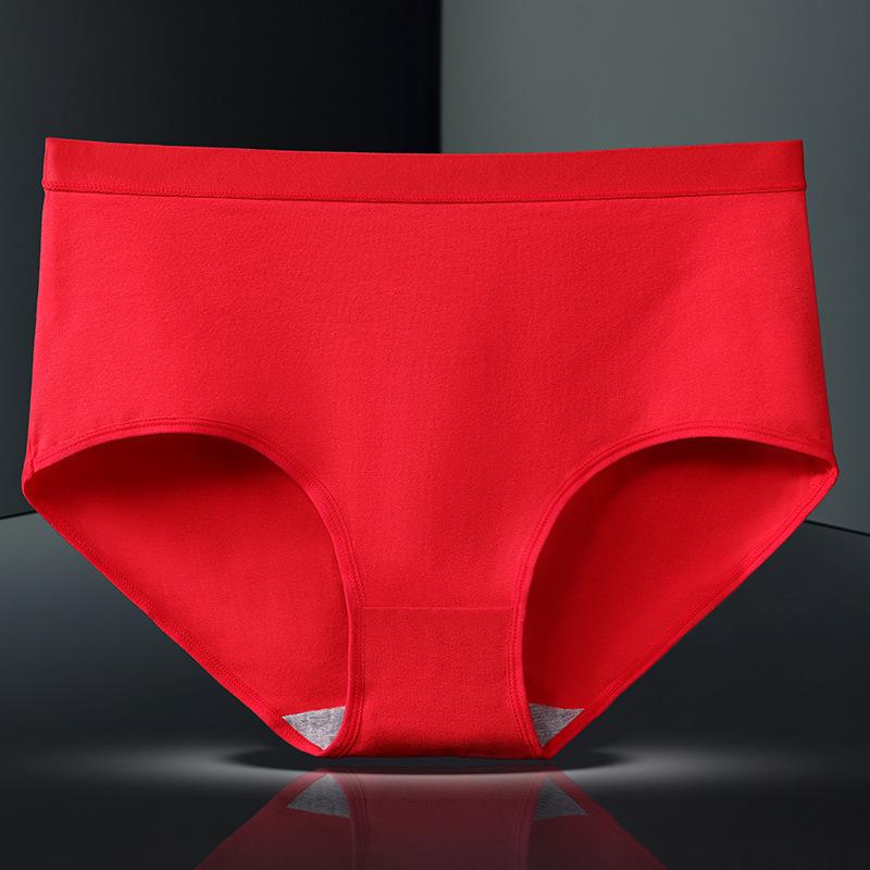 Slip da Donna Taglie Forti Primavera ed Estate Colore Puro Cotone Vita Alta Traspiranti Comodi