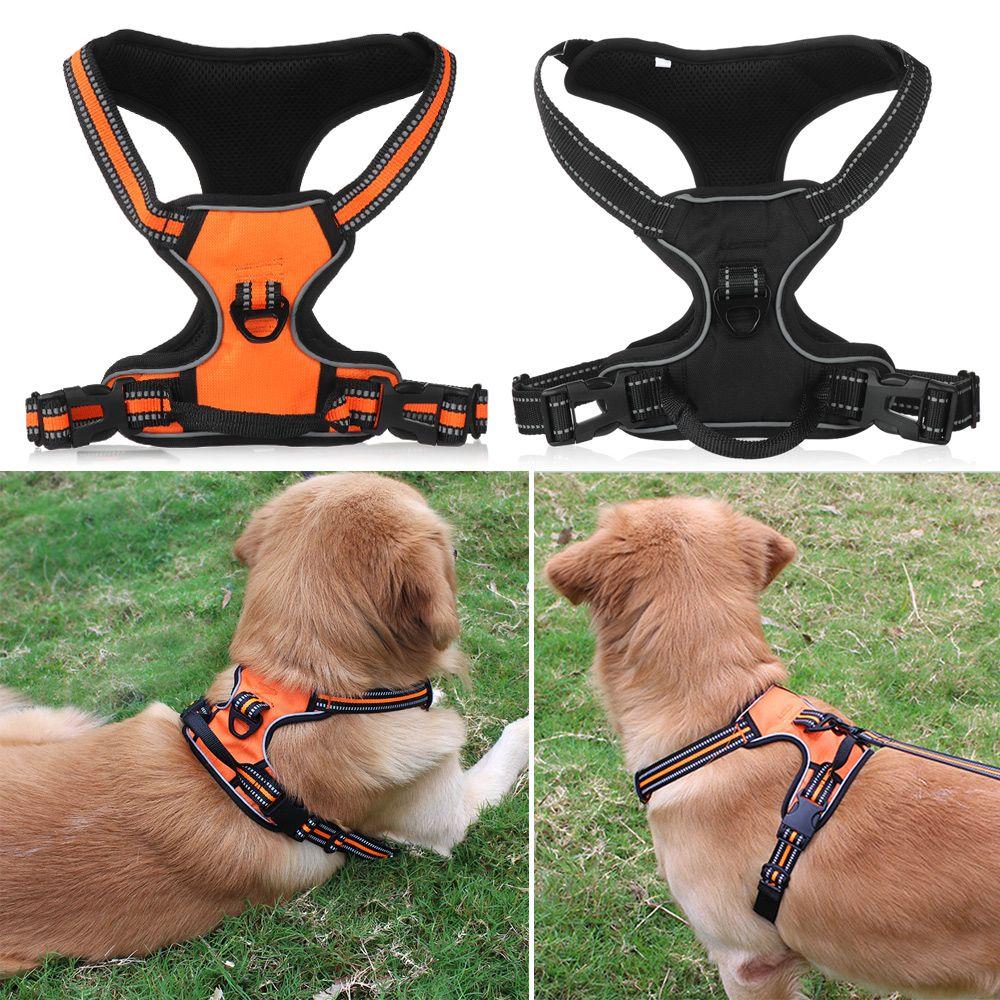 no pull dog vest
