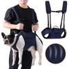 Cães – Colares e correias para cães