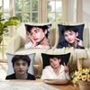 Federe fodere cuscini divani soggiorno decorazioni casa regali Singer pop Hyun-Jin Corea